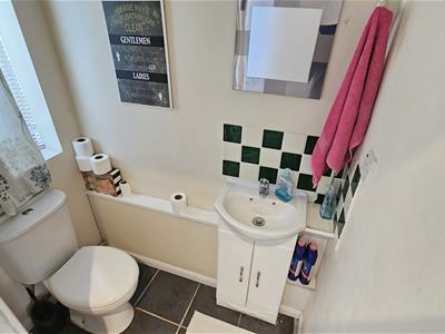 Picture 15